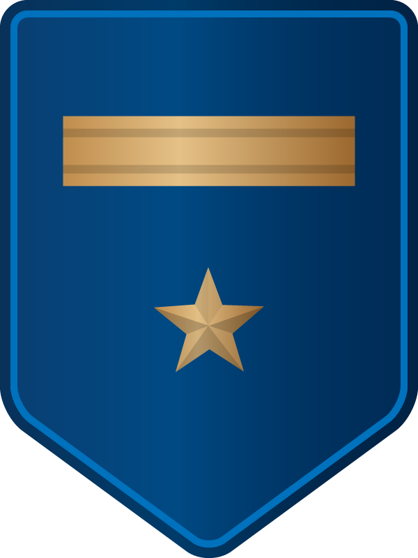 Insignia Policía I