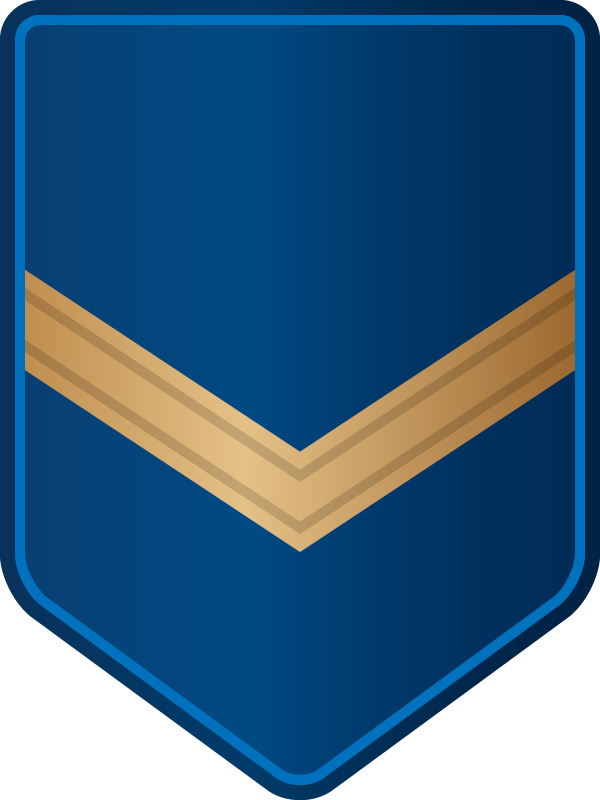 Insignia Policía Senior I