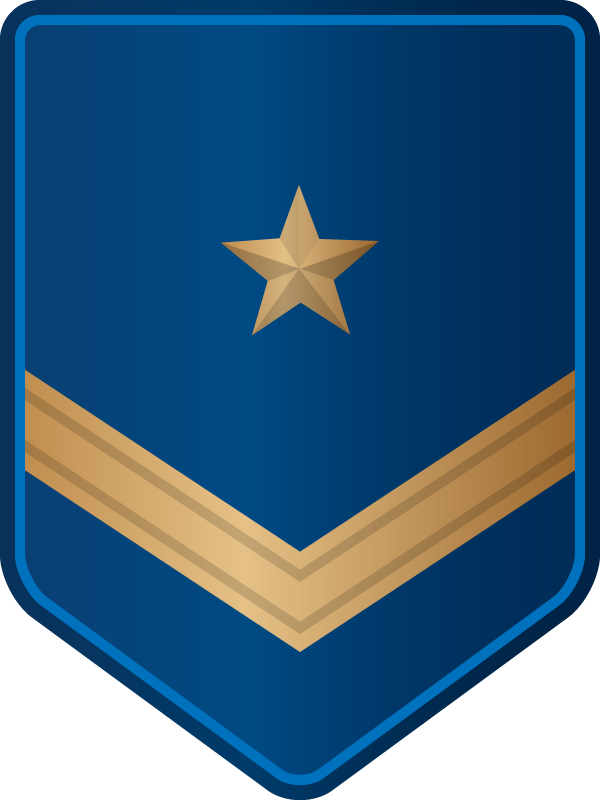 Insignia Oficial I